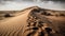 a large sand dune in the middle of a desert with a few trees growing out of the top of the sand and a few bushes in the distance