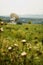 Large satellite dishes in countryside