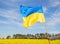 Large satin yellow and blue flag of Ukraine flutters in wind against backdrop of beautiful landscape
