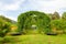 Large semicircular arches of green plants with leaves standing in a row in the form of a road or path in a flowering garden.