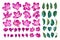 Large set of pink blooming apple trees. Set of realistic plants, hand-drawn in vector format.