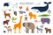 The large set of wild animals in flat design isolated on white background. Elephant, lion, whale, giraffe, zebra and