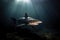 a large shark swimming in the ocean with a light shining on it\\\'s face and a scuba diver in the water below it\\\'s sur