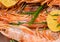 Large shrimps with a slice of lemon and a sprig of dill marinated dishes