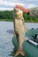 Large silver carp fisherman in his hand