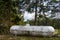 Large Silver Propane Holding Tank