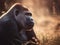 Large silverback gorilla resting on the ground in safari park. Selective focus.