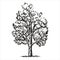 Large sketch tree. vector illustration. Hand drawing