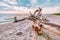 Large snag lying on the beach in the foreground on the Kinburg Spit peninsula, with a bright sun setting over the moraine in the