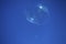 Large soap bubble in the sky