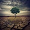 A large spectacular lone oak tree on a hill that is scorched.