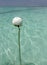Large spherical buoy floating on a vertical rope - 3