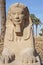 Large sphinx at ancient egyptian temple of Luxor