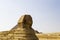 A large sphinx in the background of the pyramids