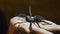 Large spider Sitting on Female Hand. Halloween Concept. Exhibition of insects. Unusual pets concept
