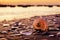Large spiral shell on the beach with stunning sunset and fishing boats in the background