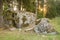 Large, split stone in summer evening, Blazma, Latvia