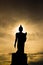 Large standing Buddha image shadows