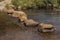 Large stepping stones on river