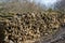 Large stockpile of Logs in woodyard