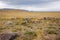 Large stone boulders are scattered in the autumn steppe at the foot of the mountain range