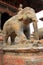 A large stone elephant guarding the Shiva Temple