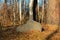 A large stone lies in the autumn forest