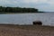 Large stone on pebbles shore of the sea bay against the backdrop of trees and green forest