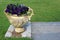 Large stone planter with bright blue petunias on step of home