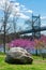 Large Stone on the Riverfront of Randalls and Wards Islands with Colorful Plants and Flowers during Spring with a view of the Trib