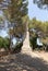 Large stone statue of Elijah - the Prophet stands on a stone pedestal in the garden of the Deir Al-Mukhraqa Carmelite Monastery in