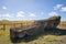 A large stone statue, a moai, toppled along the coasts of Easter Island. Easter Island, Chile