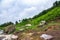 Large stones and boulders among lush greenery on a foggy hillside