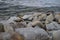 Large stones on the seashore, stone wild beach, seascape in cloudy weather.