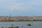 Large stones Was prepared in place of the sandy beach for the wave walls