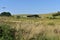 Large storage shed seen over long grassy field