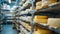 Large storehouse of manufactured cheese standing on the shelves ready to be transported to markets