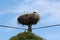 Large storks nest with three storks overlooking surroundings on top of concrete utility pole