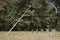 A large sundial at estate De Haere near Deventer, The Netherlands