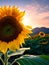Large Sunflower in a field of Sunflowers. Generative AI