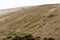 Large tailing piles from modern gold and silver mining operation