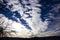 Large thin altocumulus clouds
