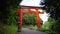 Large Tori of Taikodani Inari Shrine in Tsuwano