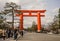 Large Torii gate with cherry tree blossom