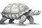 A large tortoise isolated on white background