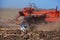 Large tractor pulling a plow and plow the field, remove the remnants of the previously beveled sunflower.