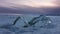 Large transparent shining ice hummocks on a frozen and snowy lake.