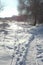 Large tree on the background of the rest of the snow-covered surface