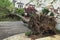 Large Tree Damage Natural Disaster Rain Storm Destruction Tree Removal