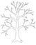 A large tree without leaves is a vector linear picture for coloring. A tree in winter or autumn without foliage with a trunk, bran